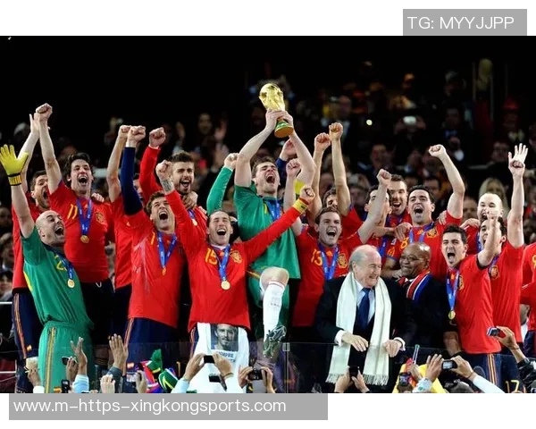 08欧洲杯激战荷兰对决俄罗斯精彩回顾与赛后分析