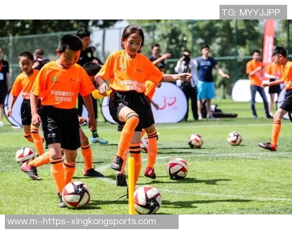 中国足球发展现状与足协改革路径探讨及未来展望